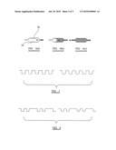 CAPILLARY diagram and image