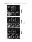 MECHANICALLY FUSED MATERIALS FOR POLLUTION ABATEMENT IN MOBILE AND STATIONATY SOURCES diagram and image