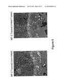 MECHANICALLY FUSED MATERIALS FOR POLLUTION ABATEMENT IN MOBILE AND STATIONATY SOURCES diagram and image