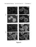 MECHANICALLY FUSED MATERIALS FOR POLLUTION ABATEMENT IN MOBILE AND STATIONATY SOURCES diagram and image