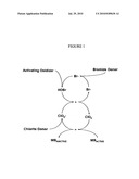 Cyclic process for the efficient generation of chlorine dioxide in dilute solutions diagram and image