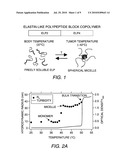 DRUG DELIVERY WITH STIMULUS RESPONSIVE BIOPOLYMERS diagram and image