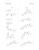 Imaging probes diagram and image