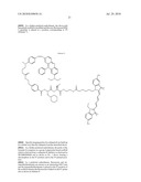 Imaging probes diagram and image