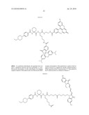 Imaging probes diagram and image