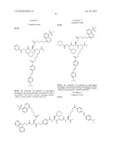 Imaging probes diagram and image