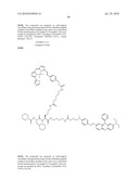 Imaging probes diagram and image