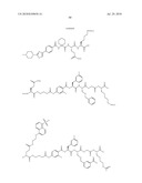 Imaging probes diagram and image