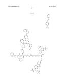 Imaging probes diagram and image