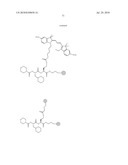 Imaging probes diagram and image