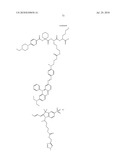 Imaging probes diagram and image