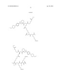 Imaging probes diagram and image