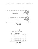 METHODS FOR THE DETECTION OF FATTY-ACYLATED PROTEIN diagram and image