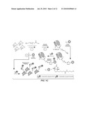 METHODS FOR THE DETECTION OF FATTY-ACYLATED PROTEIN diagram and image