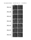 METHODS FOR THE DETECTION OF FATTY-ACYLATED PROTEIN diagram and image