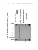 Biologically active proteins having increased In Vivo and/or In Vitro stability diagram and image