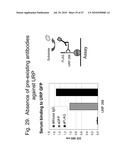 Biologically active proteins having increased In Vivo and/or In Vitro stability diagram and image