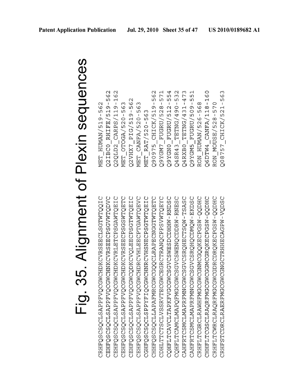 Biologically active proteins having increased In Vivo and/or In Vitro stability - diagram, schematic, and image 36