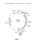 Albumin Fusion Proteins diagram and image