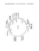 Albumin Fusion Proteins diagram and image