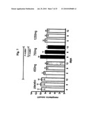 Dose forms comprising VX-950 and their dosage regimen diagram and image