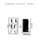 Dose forms comprising VX-950 and their dosage regimen diagram and image