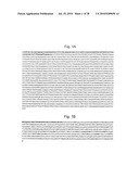 PSEUDOTYPING OF RETROVIRAL VECTORS, METHODS FOR PRODUCTION AND USE THEREOF FOR TARGETED GENE TRANSFER AND HIGH THROUGHPUT SCREENING diagram and image