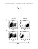 PSEUDOTYPING OF RETROVIRAL VECTORS, METHODS FOR PRODUCTION AND USE THEREOF FOR TARGETED GENE TRANSFER AND HIGH THROUGHPUT SCREENING diagram and image