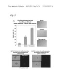 METHOD OF CONSTRUCTING MASSES OF MYOCARDIAL CELLS AND USE OF THE MYOCARDIAL CELL MASS diagram and image