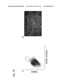 METHOD OF CONSTRUCTING MASSES OF MYOCARDIAL CELLS AND USE OF THE MYOCARDIAL CELL MASS diagram and image