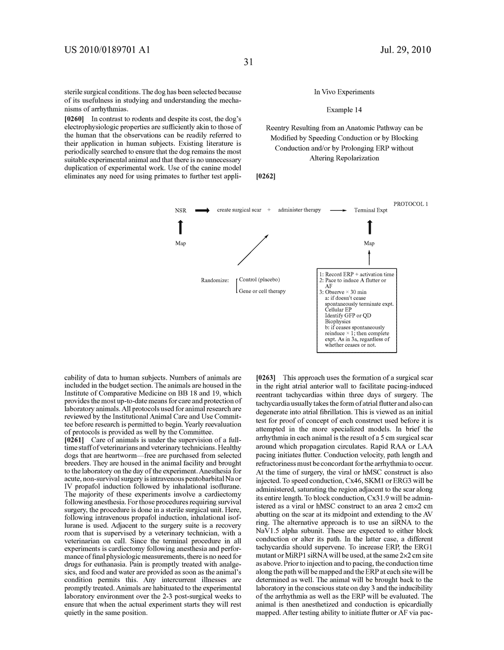 METHODS AND COMPOSITIONS TO TREAT ARRHYTHMIAS - diagram, schematic, and image 91