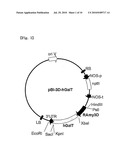 Plant Recombinant Human CTLA4IG and a Method for Producing the Same diagram and image