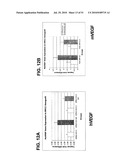 ANTI-VEGF ANTIBODIES diagram and image