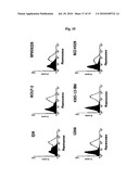 ANTI CD37 ANTIBODIES diagram and image