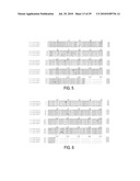 CIRCOVIRUS SEQUENCES ASSOCIATED WITH PIGLET WEIGHT LOSS DISEASE (PWD) diagram and image