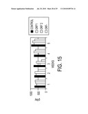 CIRCOVIRUS SEQUENCES ASSOCIATED WITH PIGLET WEIGHT LOSS DISEASE (PWD) diagram and image