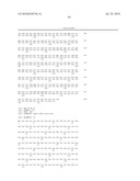 CIRCOVIRUS SEQUENCES ASSOCIATED WITH PIGLET WEIGHT LOSS DISEASE (PWD) diagram and image