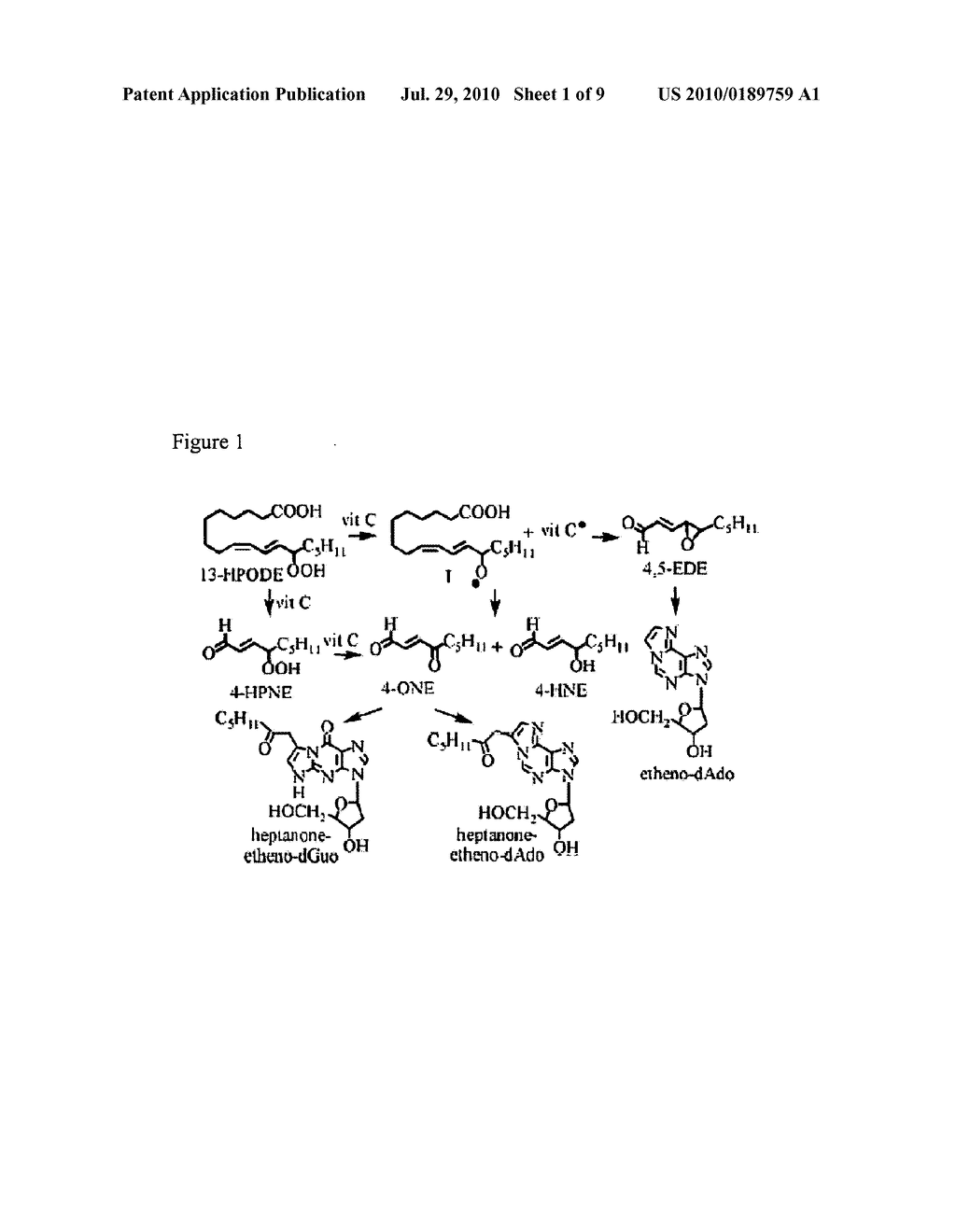 CHEMICAL TREATMENT FOR REMOVING CELLULAR AND NUCLEAR MATERIAL FROM NATURALLY OCCURRING EXTRACELLULAR MATRIX-BASED BIOMATERIALS - diagram, schematic, and image 02