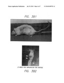 IN VIVO GENE TRANSFER METHODS FOR WOUND HEALING diagram and image