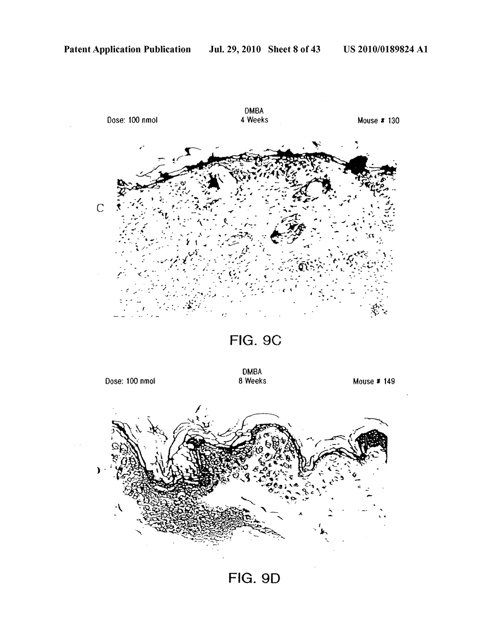 TRITERPENE COMPOSITIONS AND METHODS FOR USE THEREOF - diagram, schematic, and image 09