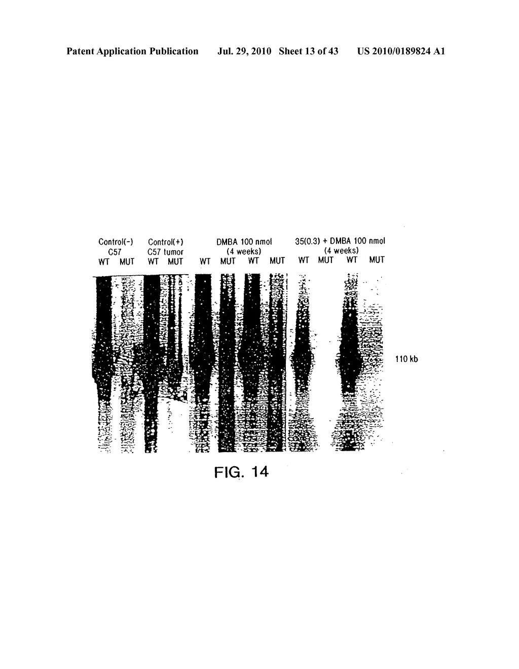 TRITERPENE COMPOSITIONS AND METHODS FOR USE THEREOF - diagram, schematic, and image 14
