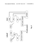 Sweet Gum Fruit Extract as a Therapeutic Agent diagram and image