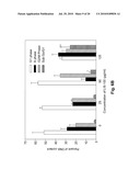 Sweet Gum Fruit Extract as a Therapeutic Agent diagram and image