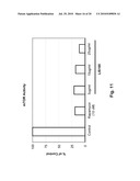 Sweet Gum Fruit Extract as a Therapeutic Agent diagram and image