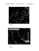 AERATED FOOD PRODUCT AND PROCESS FOR PREPARING IT diagram and image