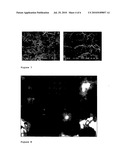 AERATED FOOD PRODUCT AND PROCESS FOR PREPARING IT diagram and image