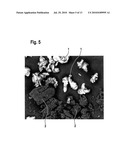 DUPLEX-ALUMINIUM MATERIAL BASED ON ALUMINIUM WITH A FIRST PHASE AND A SECOND PHASE AND METHOD FOR PRODUCING THE DUPLEX-ALUMINIUM MATERIAL diagram and image