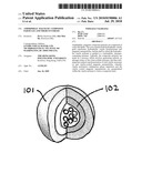 AMPHIPHILIC MAGNETIC COMPOSITE PARTICLES AND THEIR SYNTHESIS diagram and image