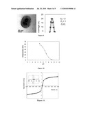 AMPHIPHILIC MAGNETIC COMPOSITE PARTICLES AND THEIR SYNTHESIS diagram and image