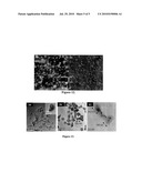 AMPHIPHILIC MAGNETIC COMPOSITE PARTICLES AND THEIR SYNTHESIS diagram and image